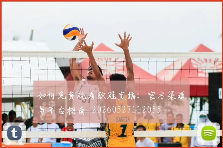 如何免费观看欧冠直播:官方渠道与平台指南_20260527112055